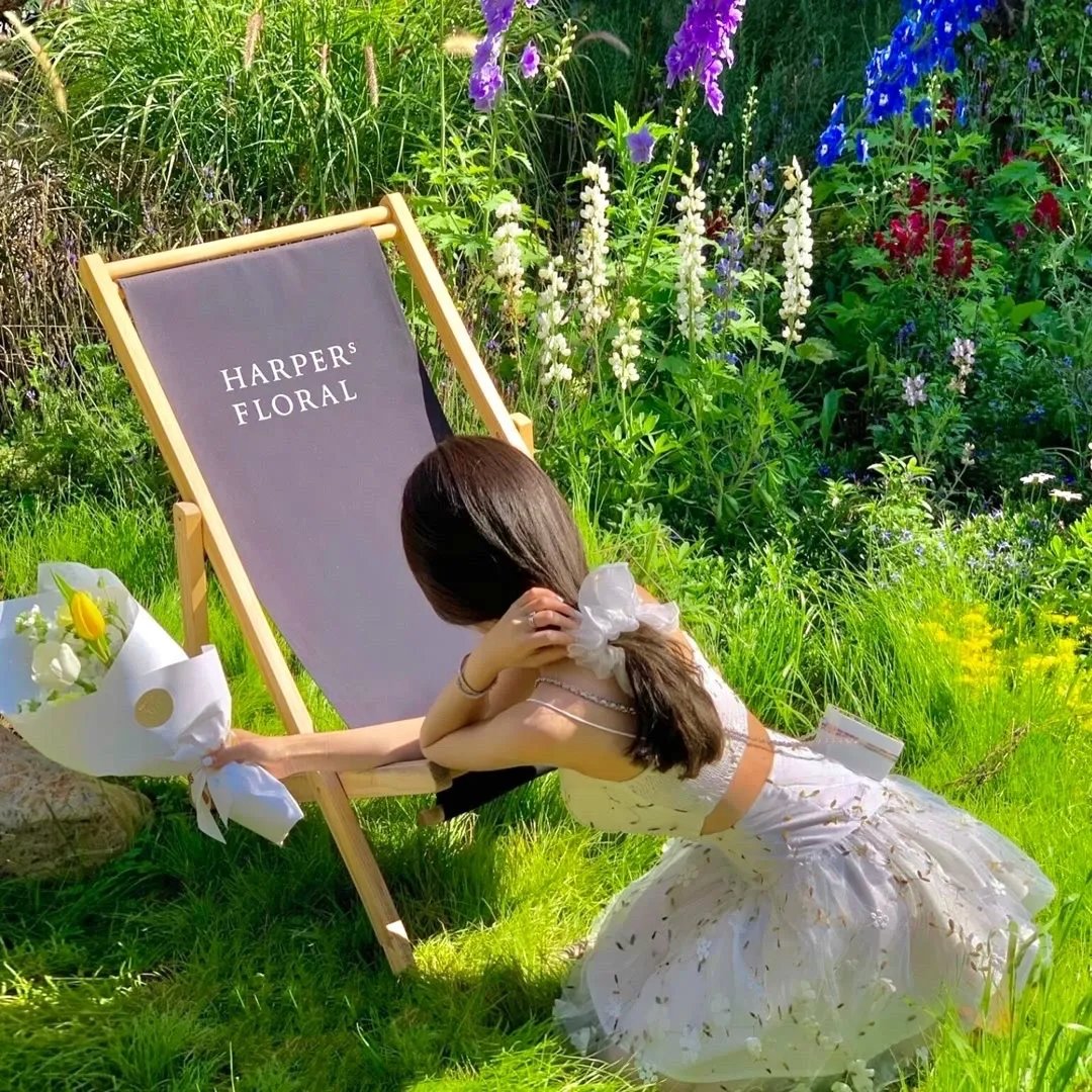 竖笛与双肩背包第三季