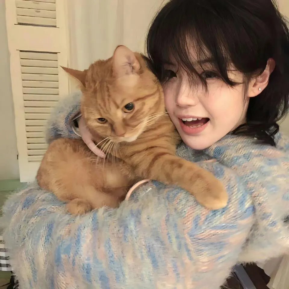 打雀英雄传粤语